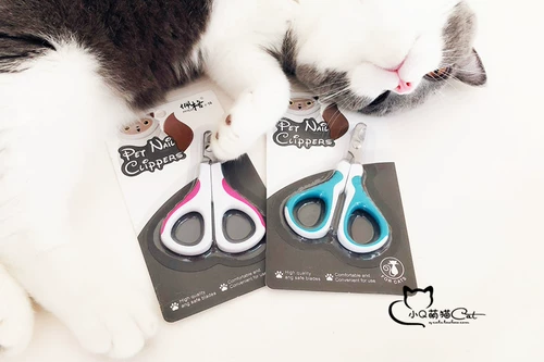 C-Queen/Peggy Kitten Special Nail Tie Tie Tie Tief Нож