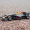 Bimei cao 1 43 Mô hình xe hợp kim Ferrari Mercedes-Benz Red Bull F1 đua xe mô phỏng đồ chơi đồ chơi - Chế độ tĩnh