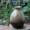 Phong cách Nhật Bản làm bằng tay bình hoa nhỏ chèn gốm đơn giản đồ gốm sứ sáng tạo văn hóa nước màu xanh lá cây đặc biệt để bàn - Vase / Bồn hoa & Kệ chậu trồng cây thủy sinh