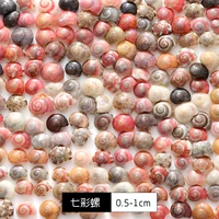 【500】 Красочные улитки