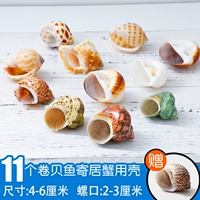 [H style set] roll -up Fish to