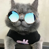 Золотая рама зеленый ртутный объектив