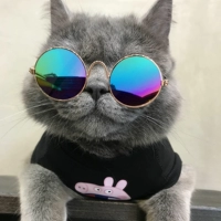 Красочный объектив