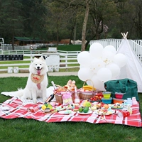 Клубника, 200×200см