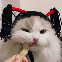 Маленькая косичка XS (подходит для кошки)