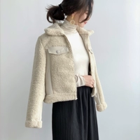 Áo khoác lông cừu nữ ngắn mùa đông dày pu lông một 2018 phiên bản Hàn Quốc mới của chiếc áo khoác ngắn ấm áp áo khoác vest nữ
