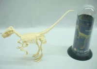 Алый когтя Дракон