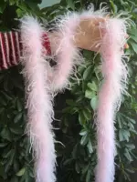 Короткий страусиный батончик 2 метра/полоски легкого порошка