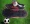 Ưu đãi đặc biệt Lutai chính hãng móng tay đen gãy tròn nhựa móng tay thanh niên chuyên nghiệp giày chống trượt giày vải thoáng khí - Giày bóng đá