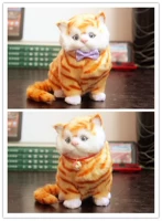 Изображение кожа желтый пояс, называемый луком, указывает