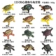 12 наборов черепахи мини -черепахи (около 5 см)