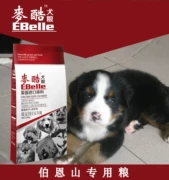 T thức ăn cho chó Berne Mountain dành cho người lớn thức ăn cho chó 20kg kg Mai mát _ thức ăn vật nuôi chó thức ăn chính gói quốc gia express