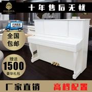 Đức Odeya đàn piano thẳng đứng hoàn toàn mới dành cho người lớn 88 người mới bắt đầu học đàn piano 123 - dương cầm