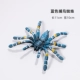 Blue Bird Catcher Spider