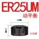 ER25um Динамический баланс