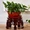 Trung Quốc cổ giả nhựa giả gỗ kệ hoa nhiều lớp phòng khách trong nhà bằng sắt rèn Châu Âu xanh Luo Lan Lan bonsai đặc biệt - Kệ kệ gỗ 3 tầng