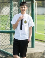 Рубашка, шорты, галстук, короткий рукав