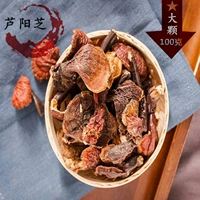Официальный веб -сайт Luyangzhi подлинный Luyang Zhicao "большой" 100 грамм купить 2 бесплатно 1 бесплатно Luyang Ganoderma lucidum