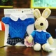 Quần áo búp bê đường chính hãng Thay thế Bunny dễ thương Đồ chơi sang trọng Rag Doll Quần áo búp bê Váy - Đồ chơi mềm