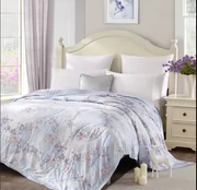 Bộ đồ giường Southern 16 làm mới được điều hòa không khí bởi California Garden (Tiansi) mùa hè quầy xác thực mỏng Tiansi quilt
