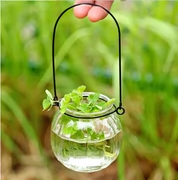 Chai thủy tinh bí ngô với vòng sắt thủy canh cây hoa củ trong chậu màu xanh lá cây bình thủy tinh màu xanh lá cây - Vase / Bồn hoa & Kệ