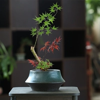 Простая японская цветочная композиция диск цветок dao xiaowai цветок дзен Меч горная гора китайская цветочная вставка ручной ретро -цветочный бассейн