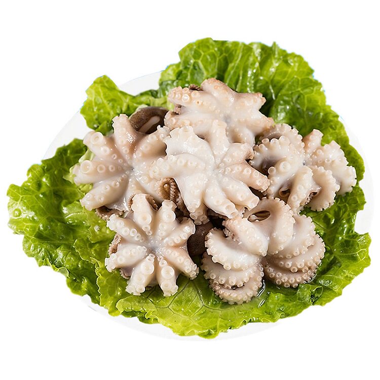 八爪鱼章鱼冷冻迷你小章鱼长腿八爪鱼章鱼足已经处理干净500g