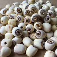 2023 Новые товары Hunan Specialty White Lotus Seeds Dry Good