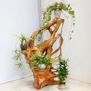 Toon gỗ nanmu gỗ hoa đứng một gốc khắc khung cây gốc tự nhiên bonsai kệ kệ phòng khách - Các món ăn khao khát gốc