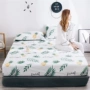 Giường cotton đơn giản giường đơn 1,5m bao gồm tất cả các tấm nệm chống trượt, trải giường - Trang bị Covers ga trải giường chun đẹp	