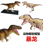 4D Master lắp ráp giải phẫu động vật mô hình khủng long tĩnh trẻ em đồ chơi giáo dục mẫu giáo