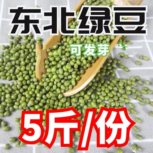 Xinliang Fresh Mung Bean Farm Farm -продукция Beanmingson Mung Paste Past