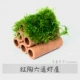Moss Ding Red Tao Liutong