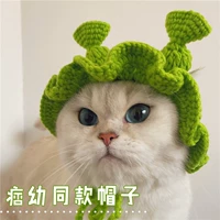 ПЭТ издание M (8 ~ 12) рюша