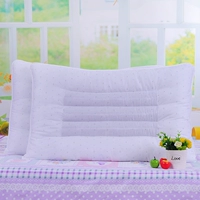 Cassia Seed Pillow Core 1 (48*74)