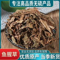 Houttuynia cordata сушеное houttuynia травяная чай дикий свежий сушеный 500 г бесплатная доставка подлинная китайская травяная медицина не -тонгрентанг китайская травяная медицина