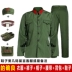 Thật vậy, Liang 65 bộ đồ quân sự kiểu cũ thẻ polyester nam phong cách cũ bộ đồ khô hoài cổ quần áo dự tiệc sáu hoặc năm kiểu màu xanh lá cây phù hợp với phụ nữ trang phục dân tộc mông Trang phục dân tộc