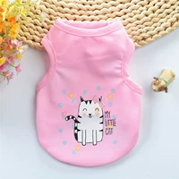 Жирная кошка