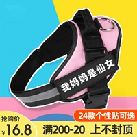 ДОЛИТЕЛЬНАЯ ТРУДЕНИЯ ДОЛИТЕЛЬНАЯ ДОЛИТЕЛЬНАЯ СОБАКА LABRADO DOG GEASE VEST MID -SMALL STAL -SIZED OUT -OF -WAY WALKE DOG TONG