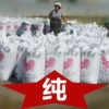 Товары от 曾经最美08520