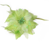 Светло-зеленый