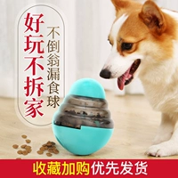 Игрушки для собак разворачивают душные артефакты и протекающие шарики мяча.