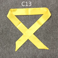C13