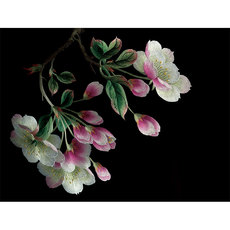 Вышивка Сучжоу 苏绣刺绣手工diy套件初学自绣樱花中国结件材料包客厅挂画送教程 DF/embroidery art