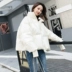 Chống mùa giảm giá áo khoác nữ đoạn ngắn 2019 Phiên bản Hàn Quốc của túi bánh mì dày lên mặt vịt trắng giải phóng mặt bằng - Xuống áo khoác Xuống áo khoác