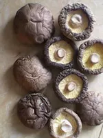 Новый продукт шиитаке грибы, небольшие грибы шиитаке, сельскохозяйственные продукты без корневых грибов, сухие товары 500 г бесплатная доставка дикая популярная съедобная гриба Сидней