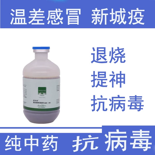 禽抗 病毒 退烧 鸡鸭鹅 药禽 温差 感冒 新城疫鸡流 感受 凉药 凉药 凉药