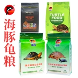 Pinja Turtle Grain Glood Turtl