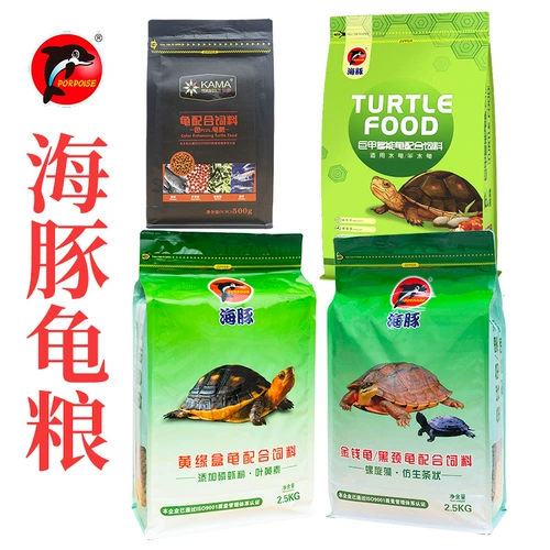 Pinja Turtle Grain Glood Turtl