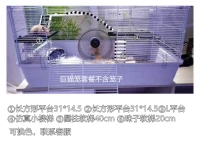 Набор арбуз красной гигантской кошки